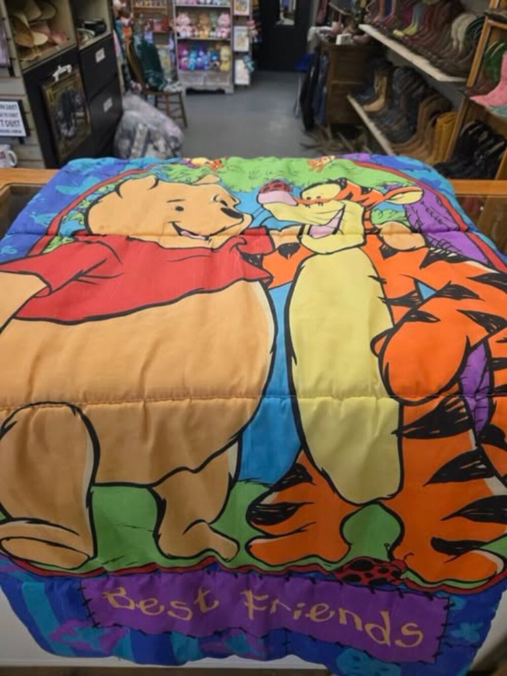 vintage Best Friends Disney Sleeping Bag kids Winnie the Pooh Tigger
